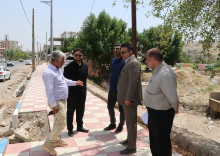 بازدید میدانی محمد خسروی شهردار مسجدسلیمان از برخی پروژه های عمرانی سطح شهر