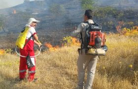 جوابیه مشترک ادارات محیط زیست و منابع طبیعی مسجدسلیمان در خصوص آتش سوزی منطقه دو راهی لالی