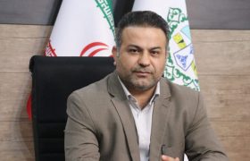 پیام تبریک شهردار در پی صعود پرافتخار تیم کشتی فرنگی شهرداری مسجدسلیمان به دور نهایی مسابقات لیگ برتر